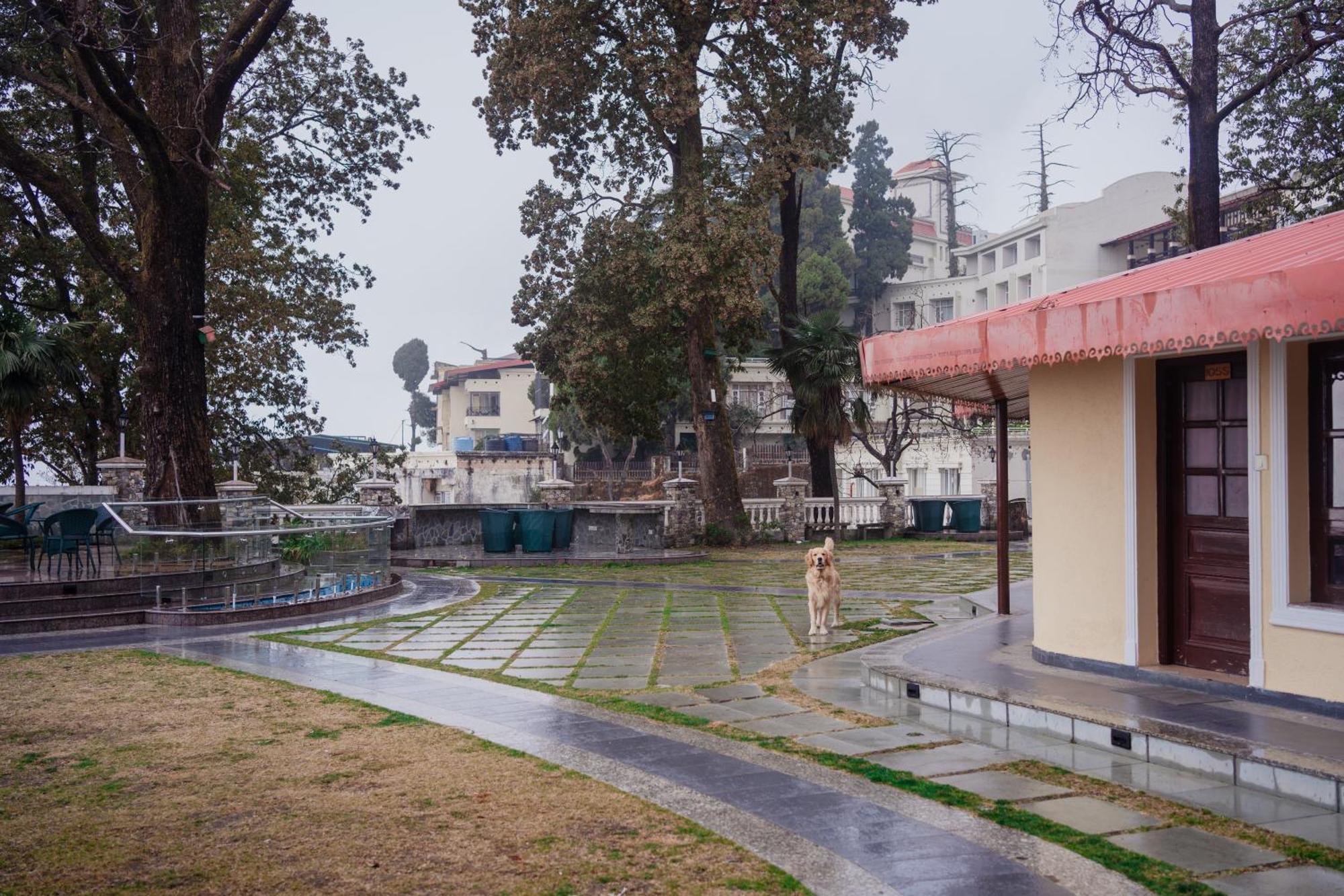 Bliss & Company By Hnh Otel Mussoorie Dış mekan fotoğraf